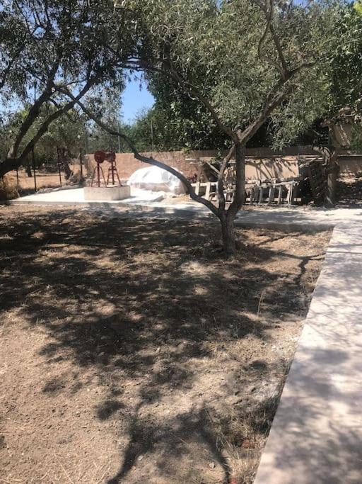 πέτρινη στην αίγινα - Stone House In Aigina Holiday home