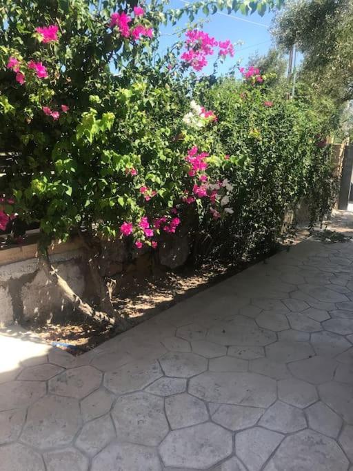 Holiday home πέτρινη στην αίγινα - Stone House In Aigina