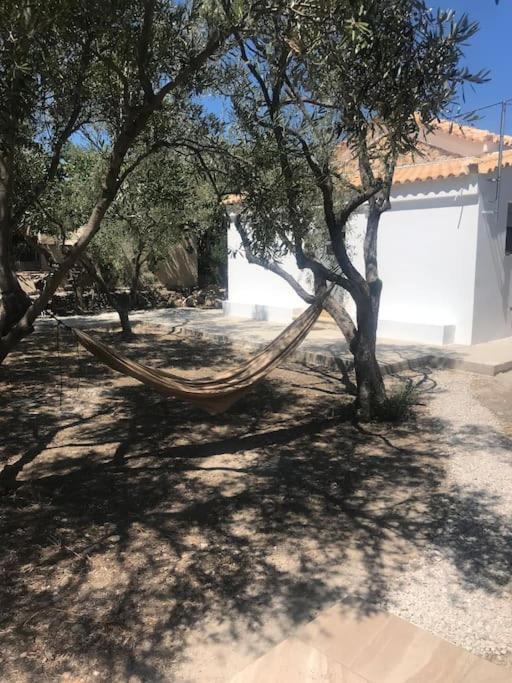 πέτρινη στην αίγινα - Stone House In Aigina Holiday home *